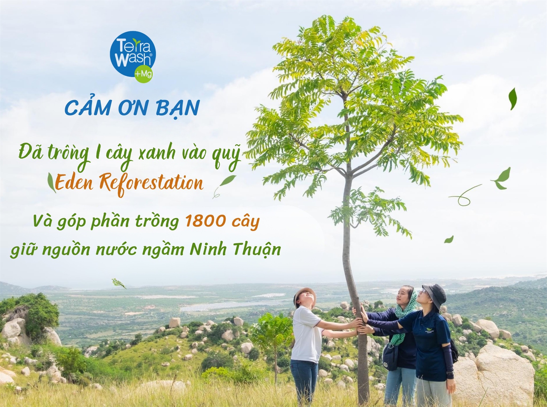 CÙNG TERRA WASH TRỒNG THÊM CÂY XANH